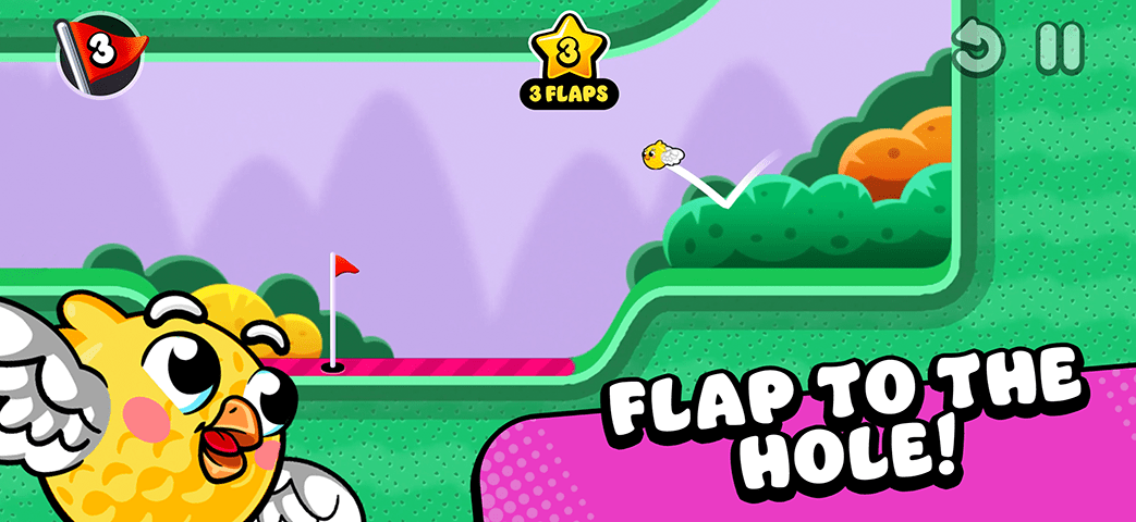 Flap to the Hole!